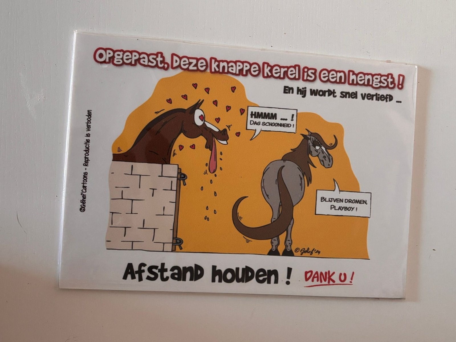 Waarschuwings plaat voor een hengst. *nieuw*, Dieren en Toebehoren, Paarden en Pony's | Overige Paardenspullen, Ophalen of Verzenden