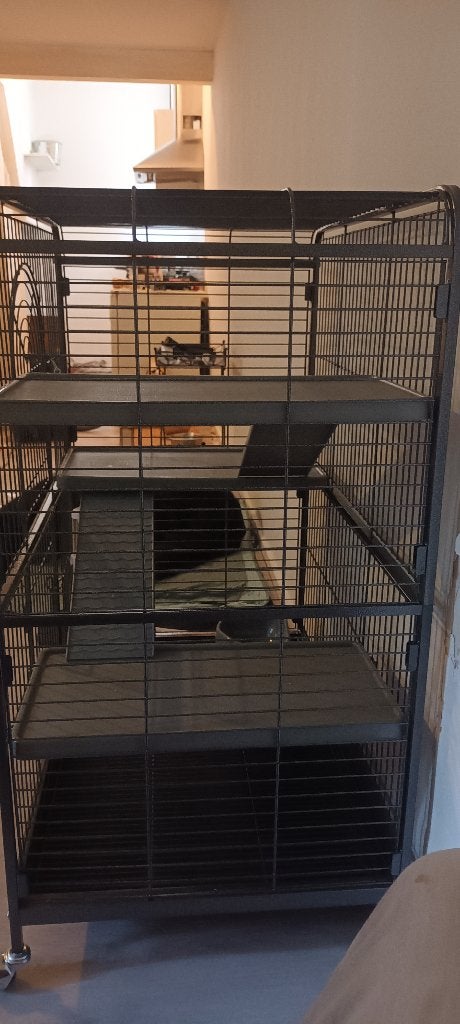 Fretten kooi/ratten kooi (gereserveerd voor ELLA), Ophalen, Kooi, 110 cm of meer, Zo goed als nieuw