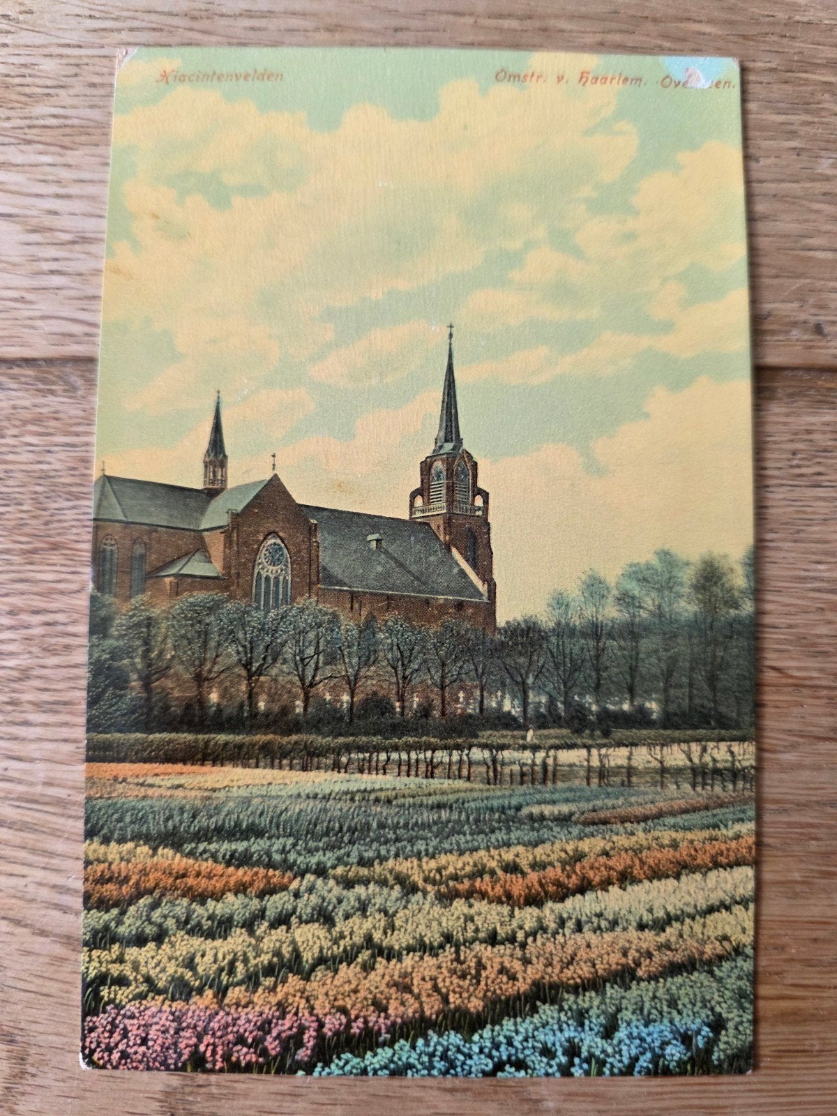 bollenvelden omgeving Haarlem, Ophalen of Verzenden