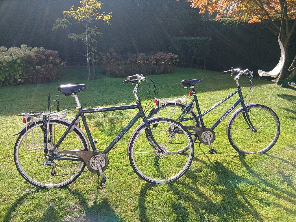Giant Jubilee + Giant Freerider (set) - sámen voor € 100,-, Ophalen, Gebruikt, Velgrem, Versnellingen