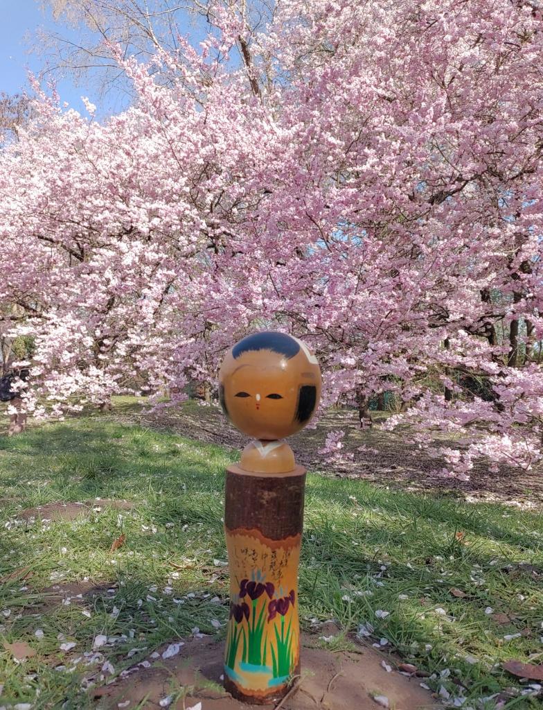 Mooie grote shōbu boomschors kokeshi, Antiek en Kunst, Verzenden