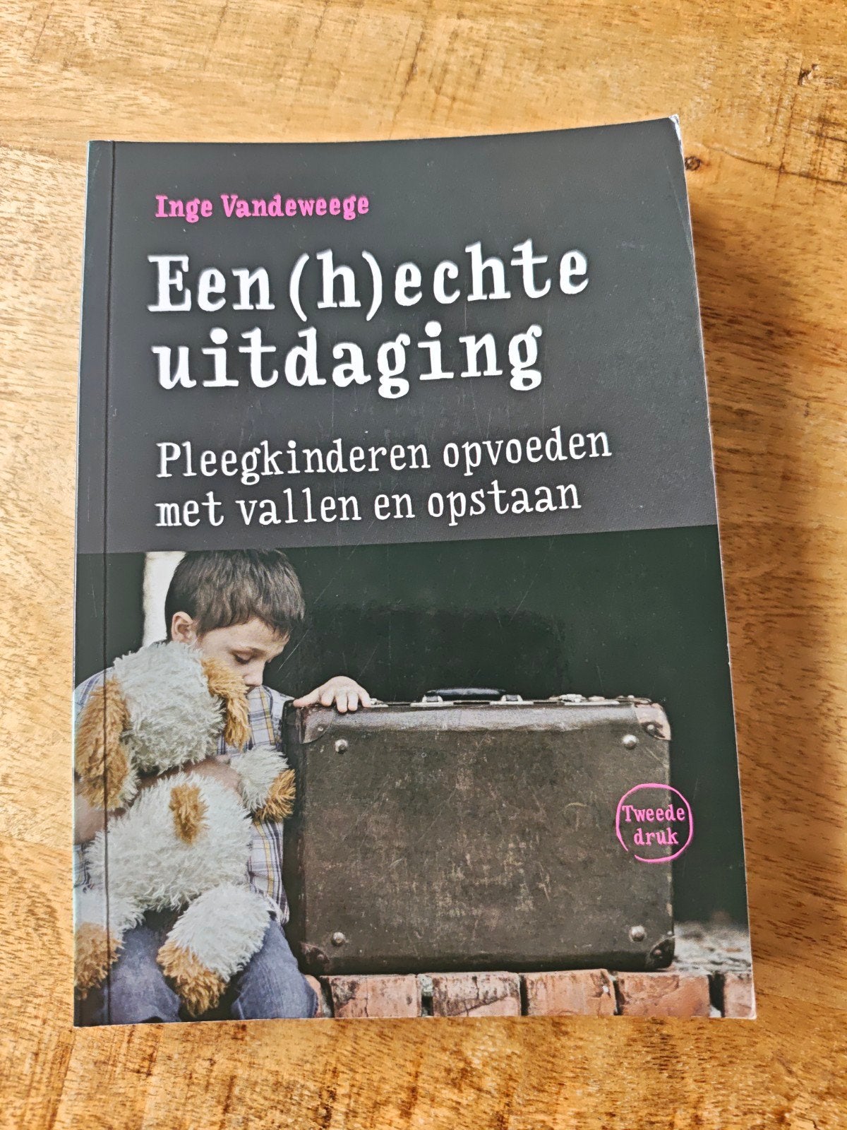 Inge Vandeweege - Een (h)echte uitdaging, Gelezen, Zwangerschap en Bevalling, Inge Vandeweege, Ophalen of Verzenden