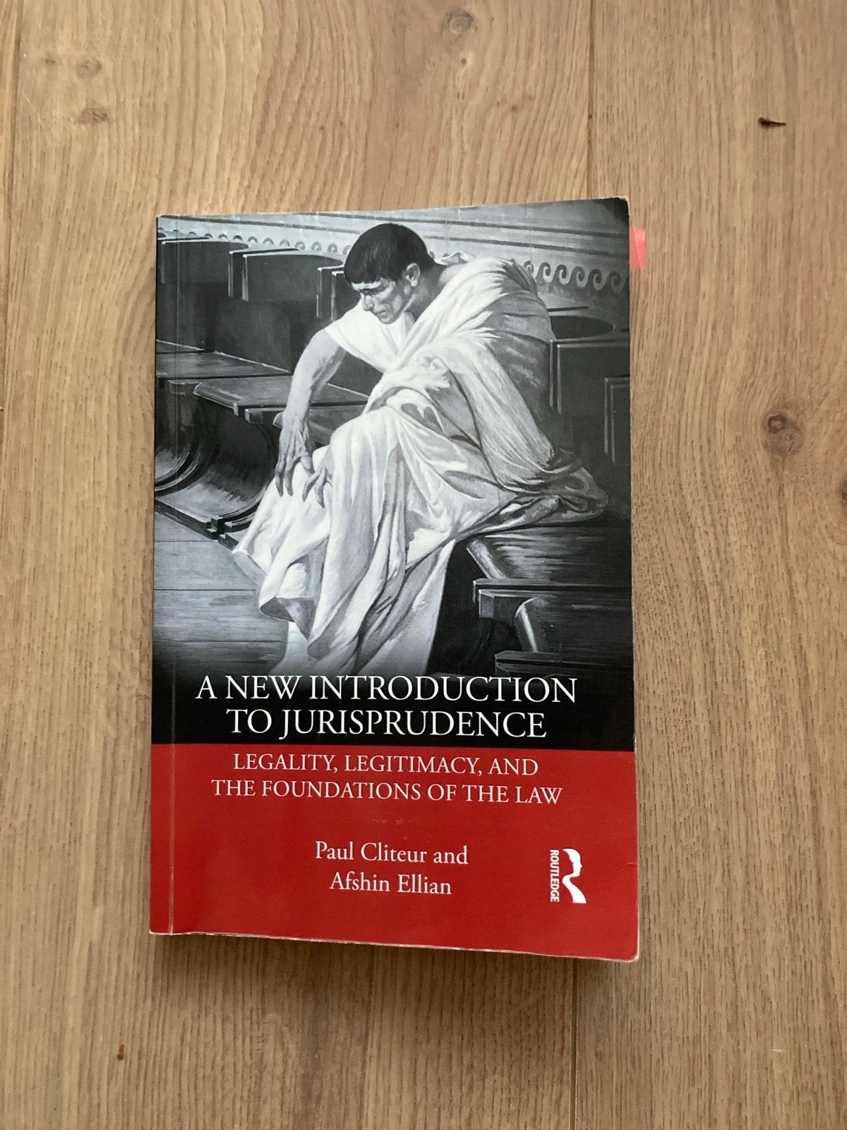 A New Introduction to Jurisprudence - Paul Cliteur, Boeken, Ophalen of Verzenden, Gamma, Gelezen, WO