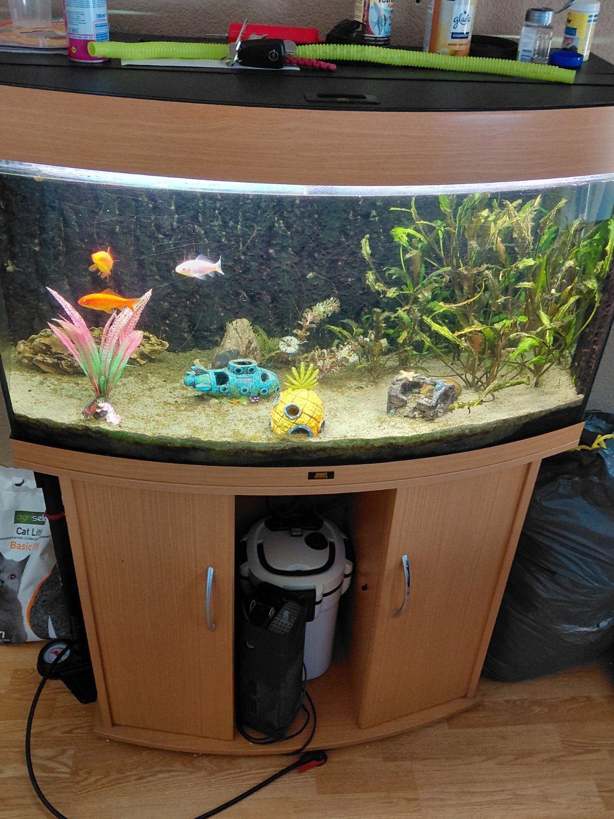 complete aqarium, Gebruikt, Ophalen of Verzenden, Gevuld zoetwateraquarium, Inclusief vissen