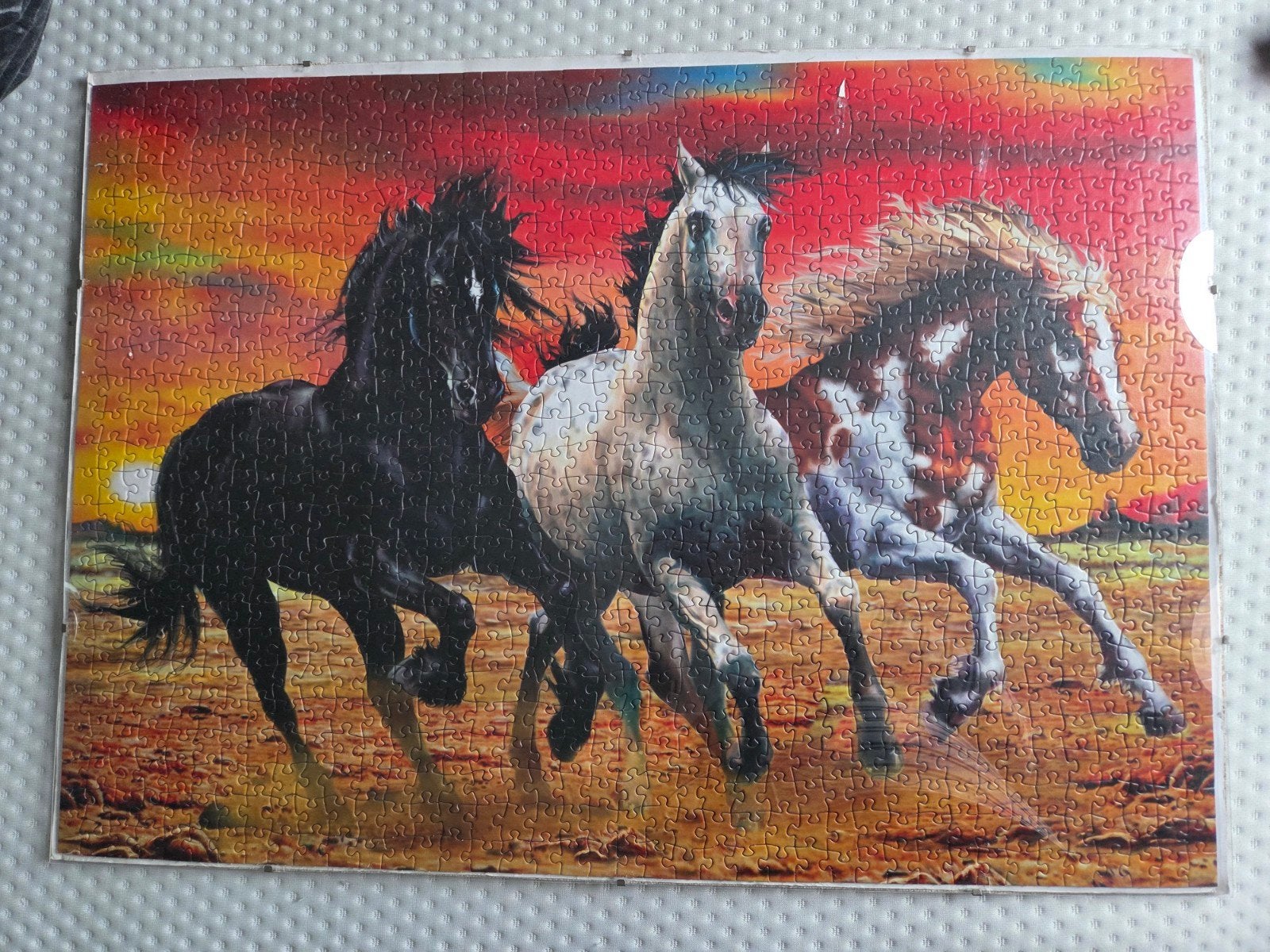 paarden puzzels, Ophalen