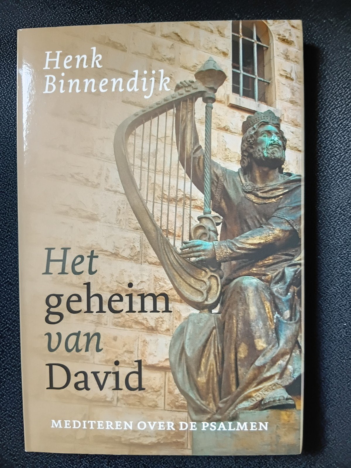 Henk Binnendijk - Het geheim van David, Ophalen of Verzenden, Zo goed als nieuw, Henk Binnendijk