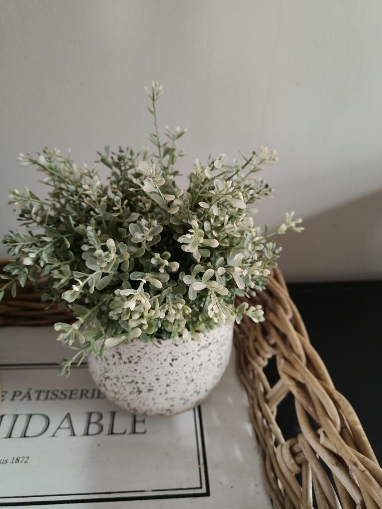 Mooie kunstplant in stenen Intratuin pot, Huis en Inrichting, Woonaccessoires | Kunstplanten en Kunstbloemen, Zo goed als nieuw