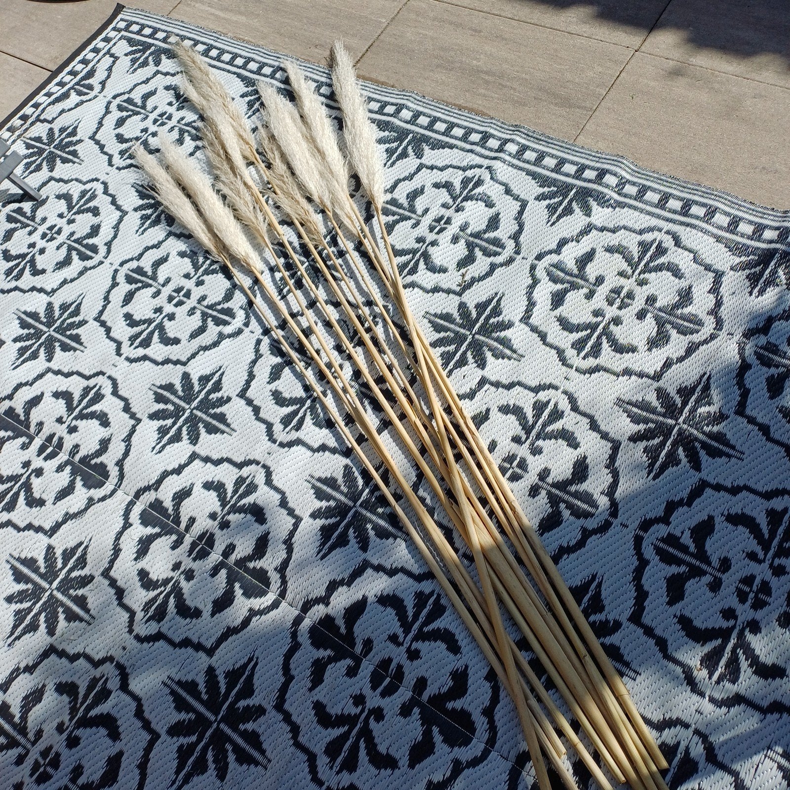 Pampasgras pluimen met lange steel leuk als decoratie, Ophalen