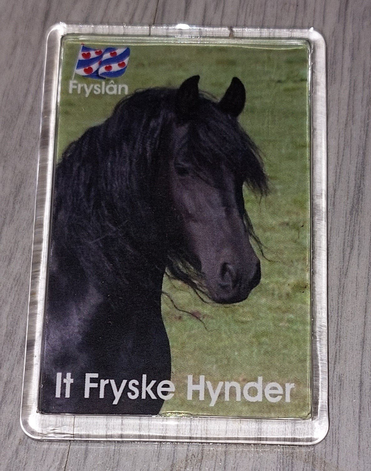 Koelkast magneet fries paard, Ophalen of Verzenden, Nieuw