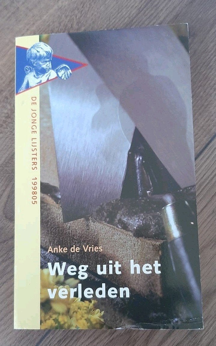 Leesboek "Weg uit het verleden" - Anke de Vries, Ophalen of Verzenden, Zo goed als nieuw, Anke de Vries