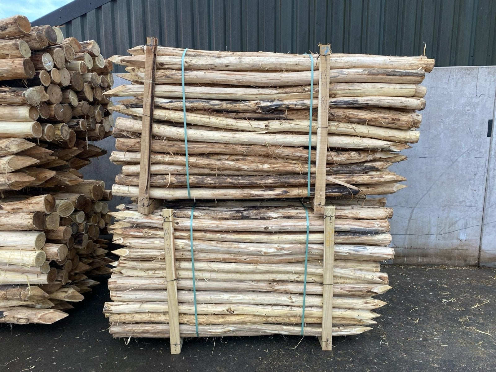 Acasia weide palen, Tuin en Terras, Palen, Balken en Planken, Ophalen, Nieuw, 250 cm of meer, Palen