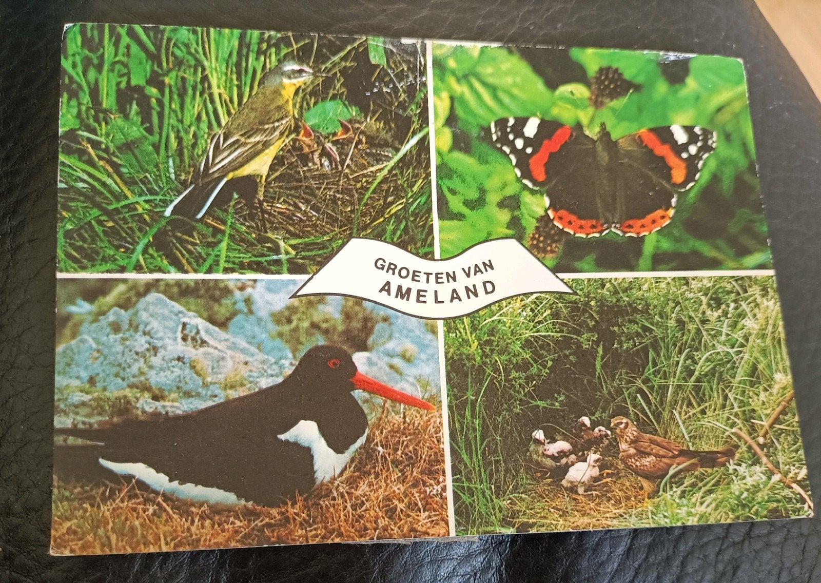 Ameland. 4-luik. 1978, Ophalen of Verzenden, 1960 tot 1980, Gelopen, Waddeneilanden
