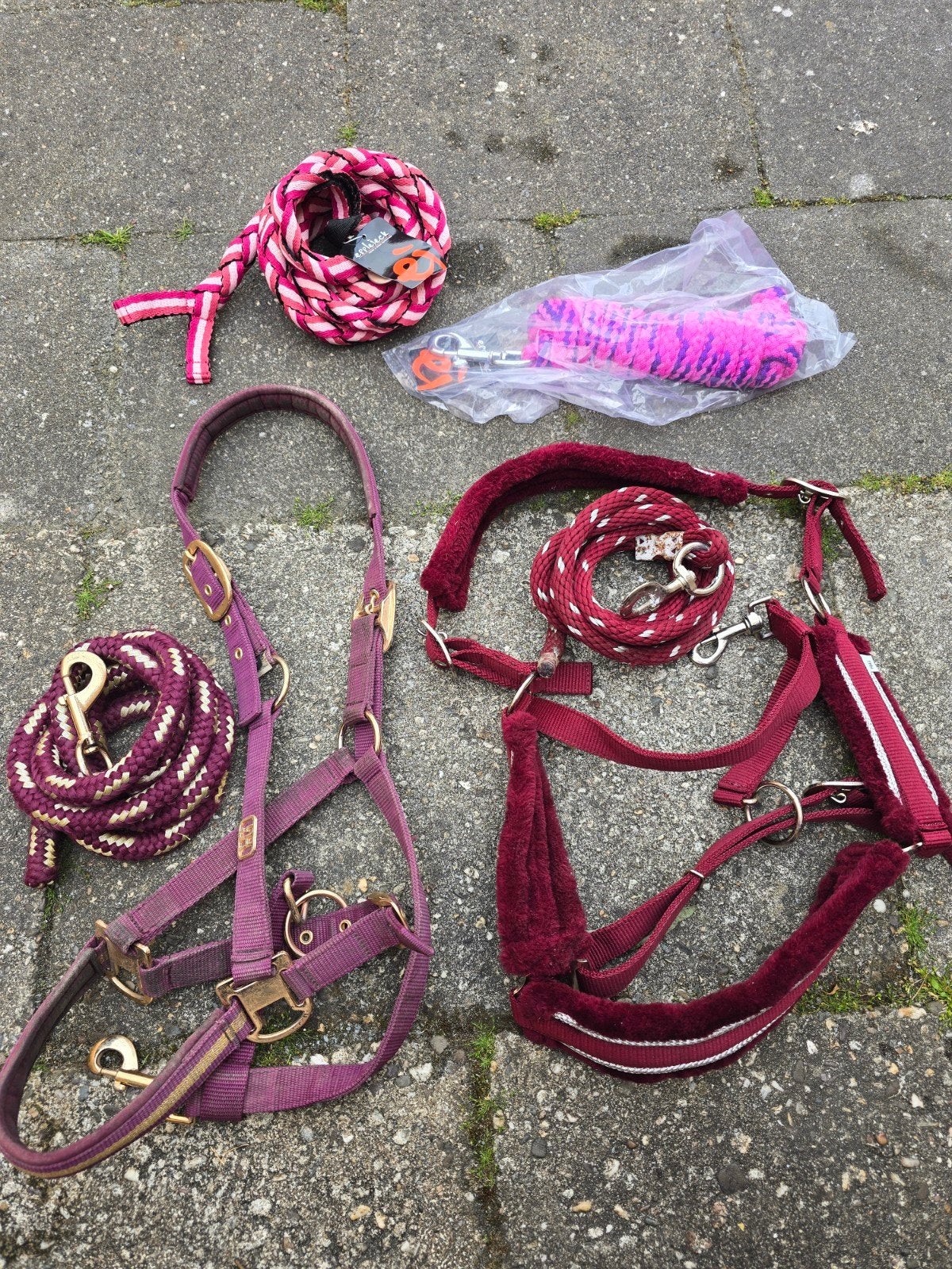Halsters, Ophalen of Verzenden, Zo goed als nieuw, Overige soorten