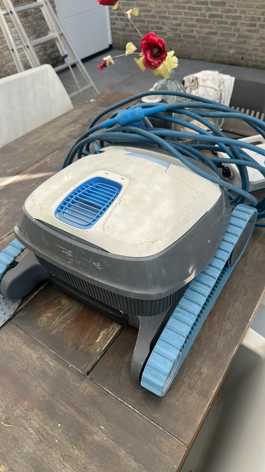 Dolphin S100 Zwembadrobot - Schoon tot 12m, Ophalen of Verzenden, Gebruikt, Overige typen