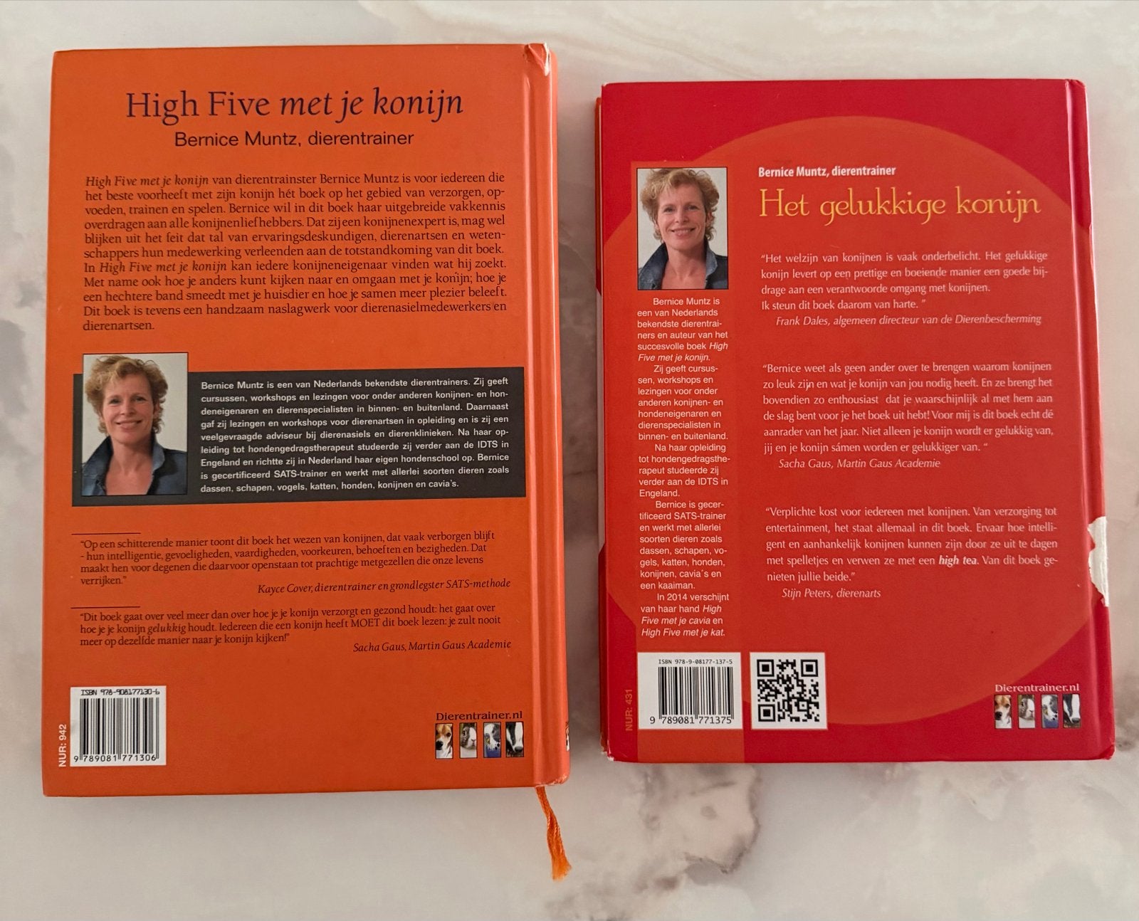 High Five met je konijn & Het gelukkige konijn (Bernice Munt, Ophalen of Verzenden, Gelezen, Konijnen of Knaagdieren