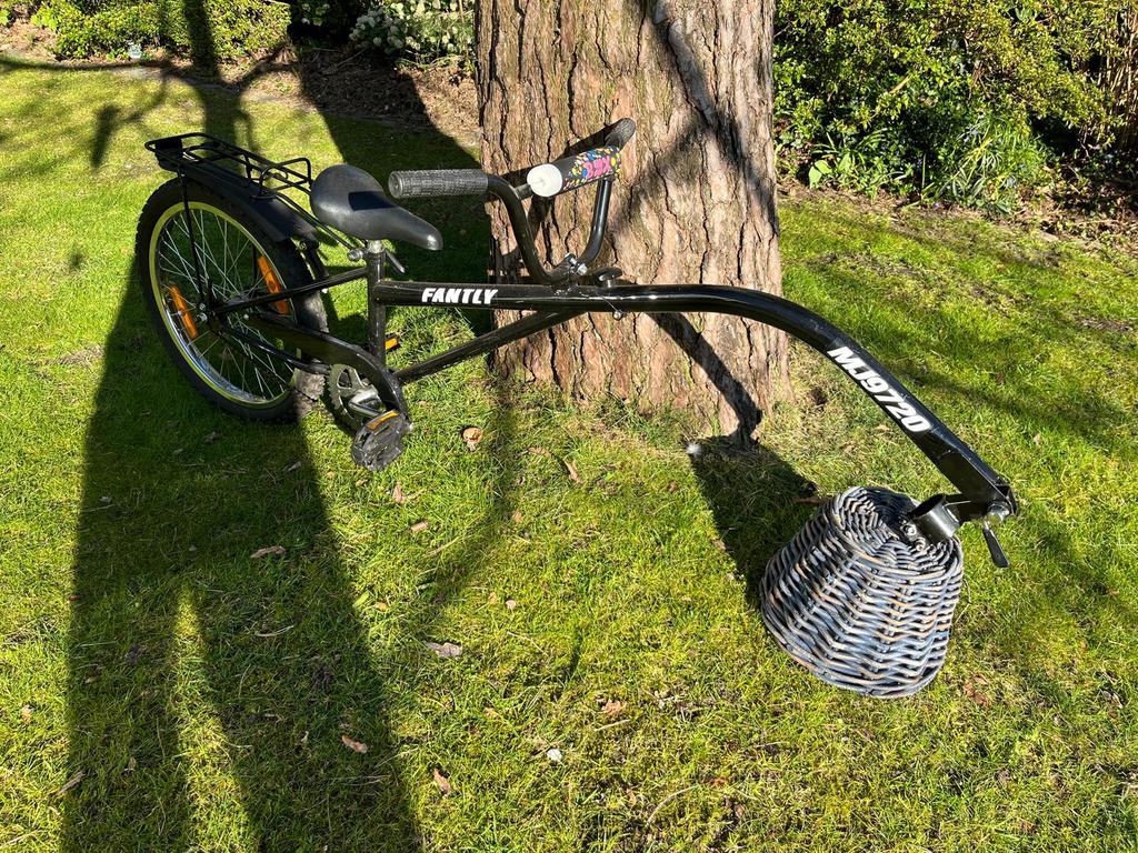 Aanhang fiets, Ophalen, Zo goed als nieuw, 40 tot 60 kg