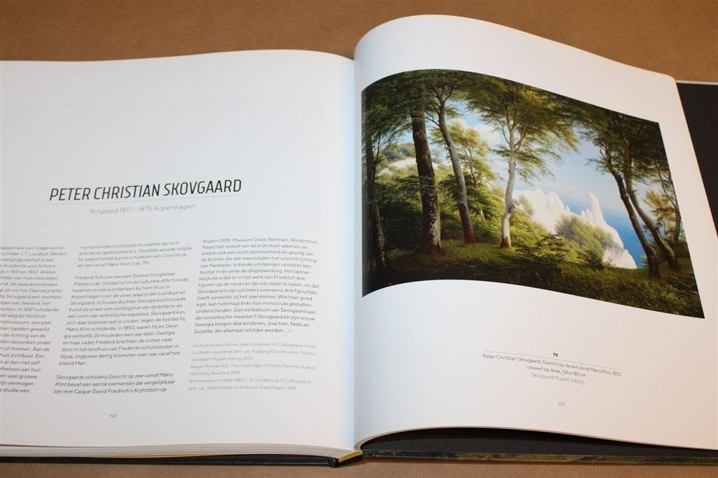 Romantiek in het Noorden — Van Friedrich tot Turner, Boeken, Ophalen of Verzenden, Zo goed als nieuw