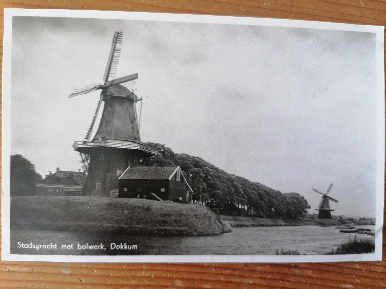 Dokkum Stadsgracht met bolwerk, Ophalen of Verzenden, Voor 1920, Zuid-Holland