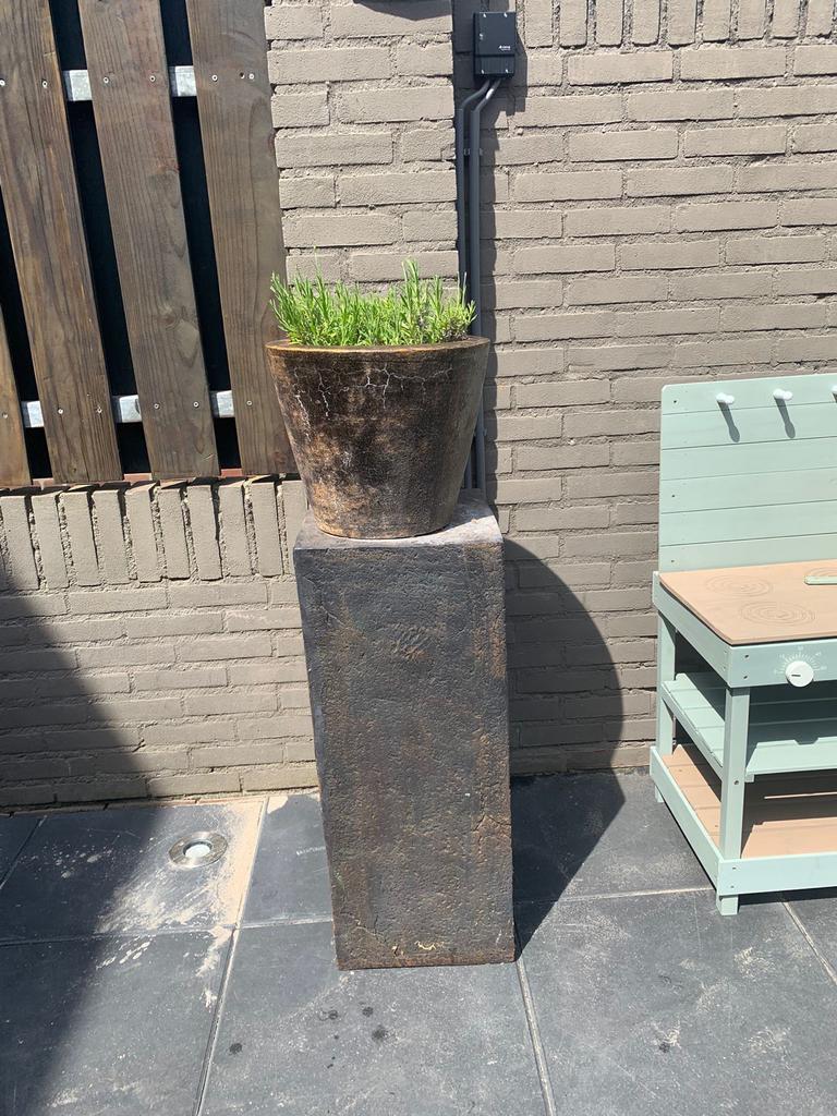 Grote bloempot met plant op sokkel TEAB, Tuin en Terras, Bloempotten, Ophalen, Gebruikt, 40 cm of meer, Rond