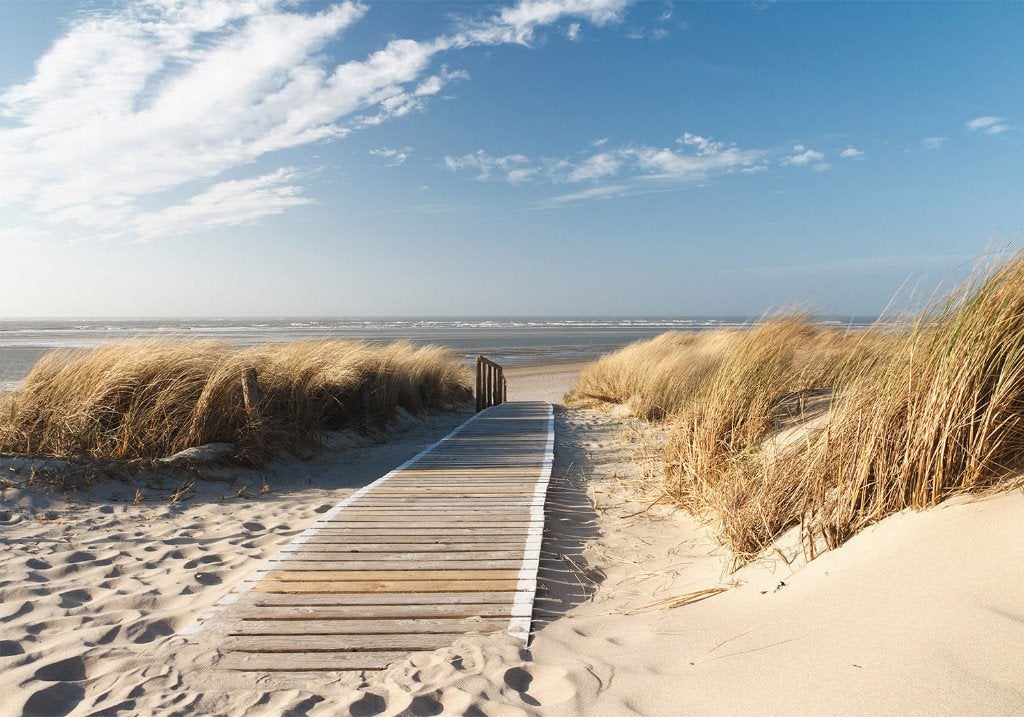 11 Noordzee Duinen Vlies Fotobehang 350x250cm in 3 maten XXL, Ophalen of Verzenden, Nieuw