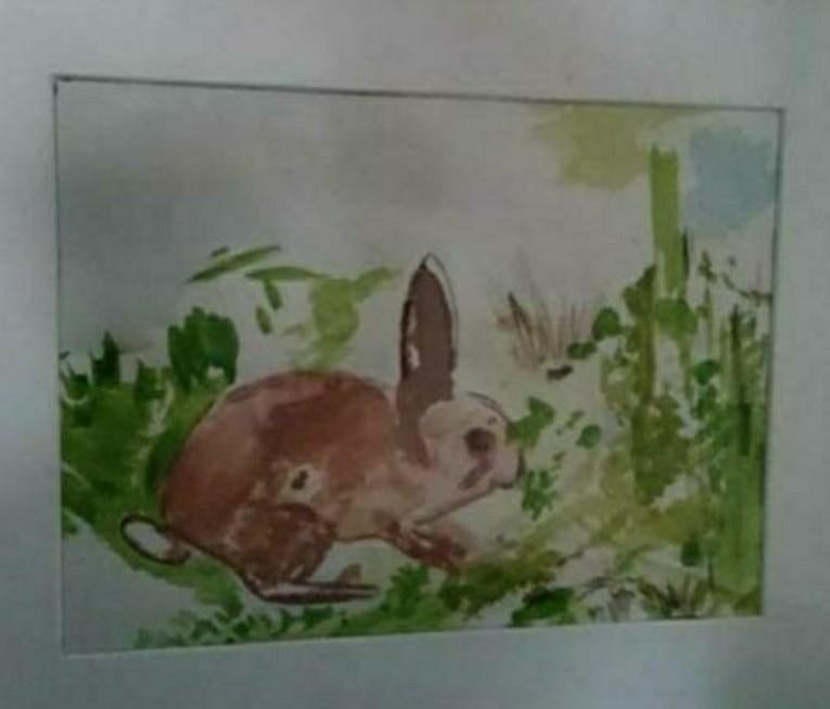 KUIT,MOUISSI,Konijn,natuur,glas,lijst,bos,dier,gras,LarenNH, Minder dan 50 cm, Oorspronkelijke maker, Ophalen of Verzenden, Zo goed als nieuw