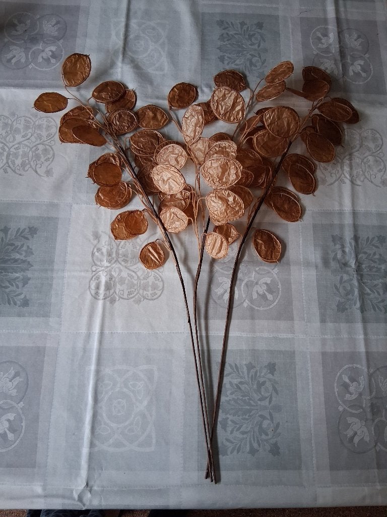 Kunsttak eucalyptus bruin, set van 3, Ophalen, Binnen, Bruin, 70 cm