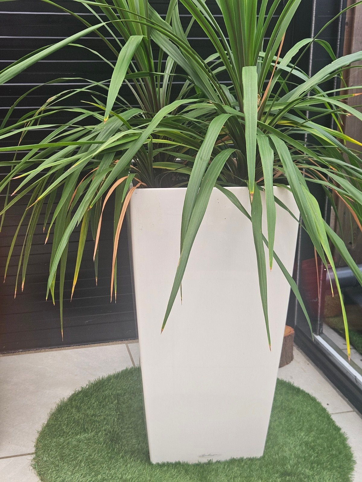 Grote Lechuza plantenbak met plant, Kunststof, Gebruikt, Minder dan 60 cm, Ophalen of Verzenden