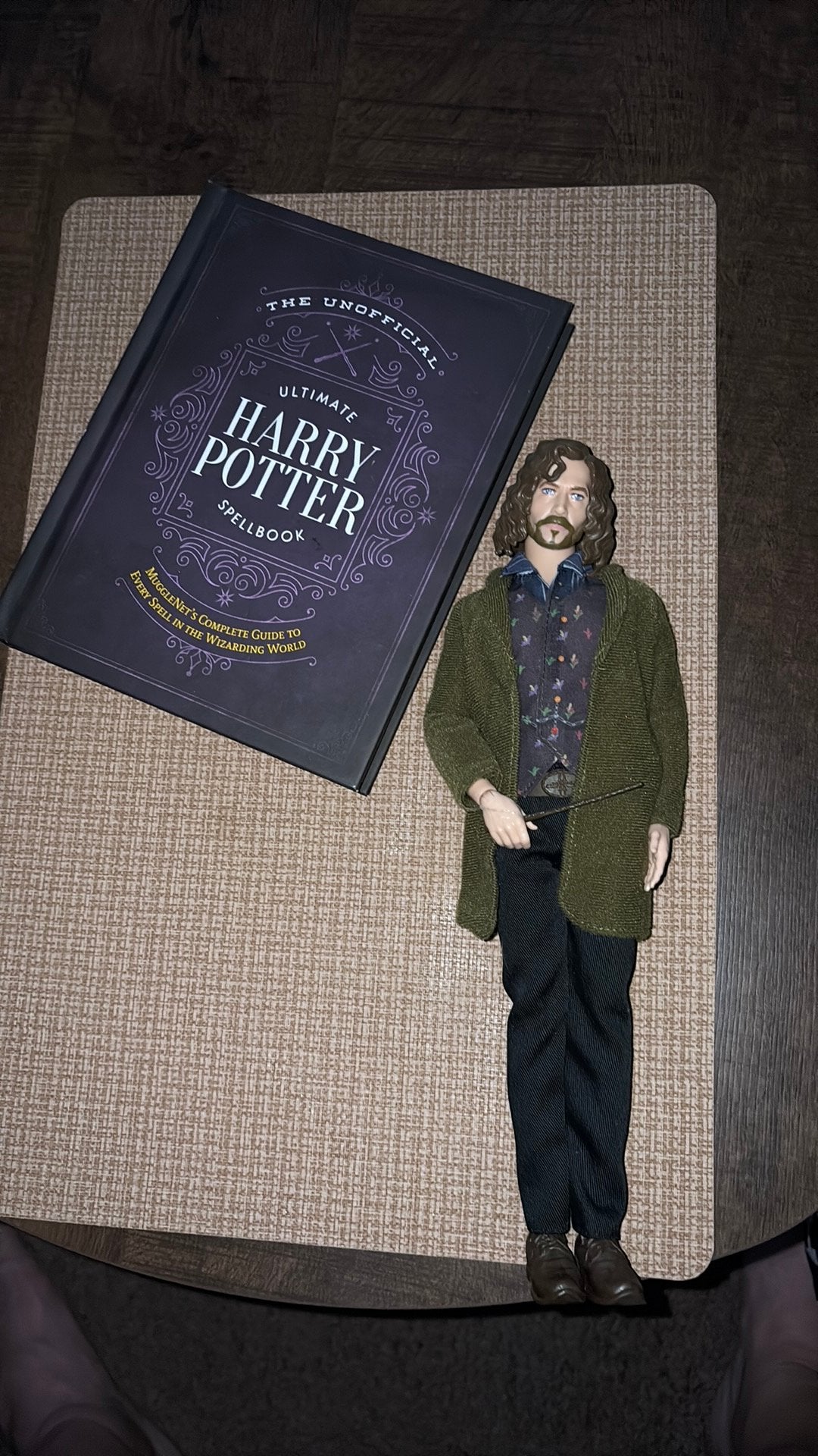 Sirius Black en toverboek Harry Potter, Ophalen of Verzenden, Zo goed als nieuw, Actiefiguurtje