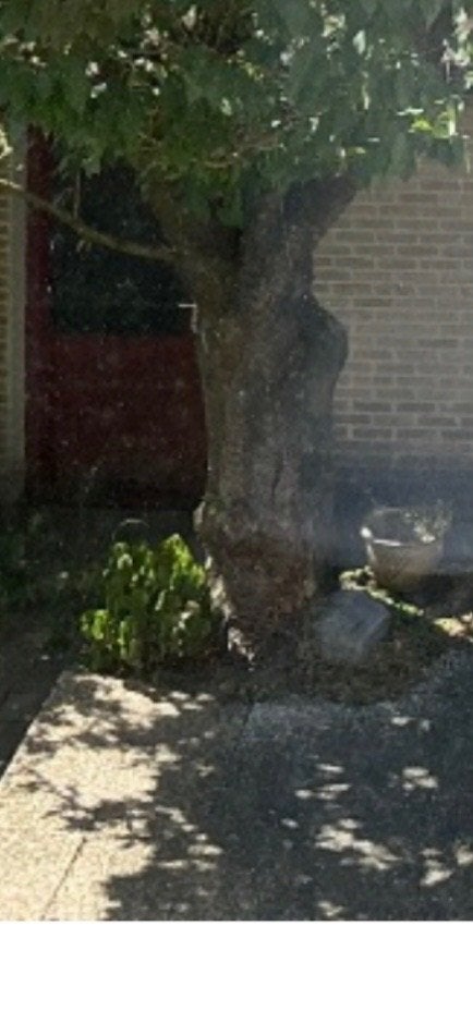 Grindtegels rechthoekig, GRATIS, Tuin en Terras, Ophalen, Gebruikt, 5 tot 10 m², Beton