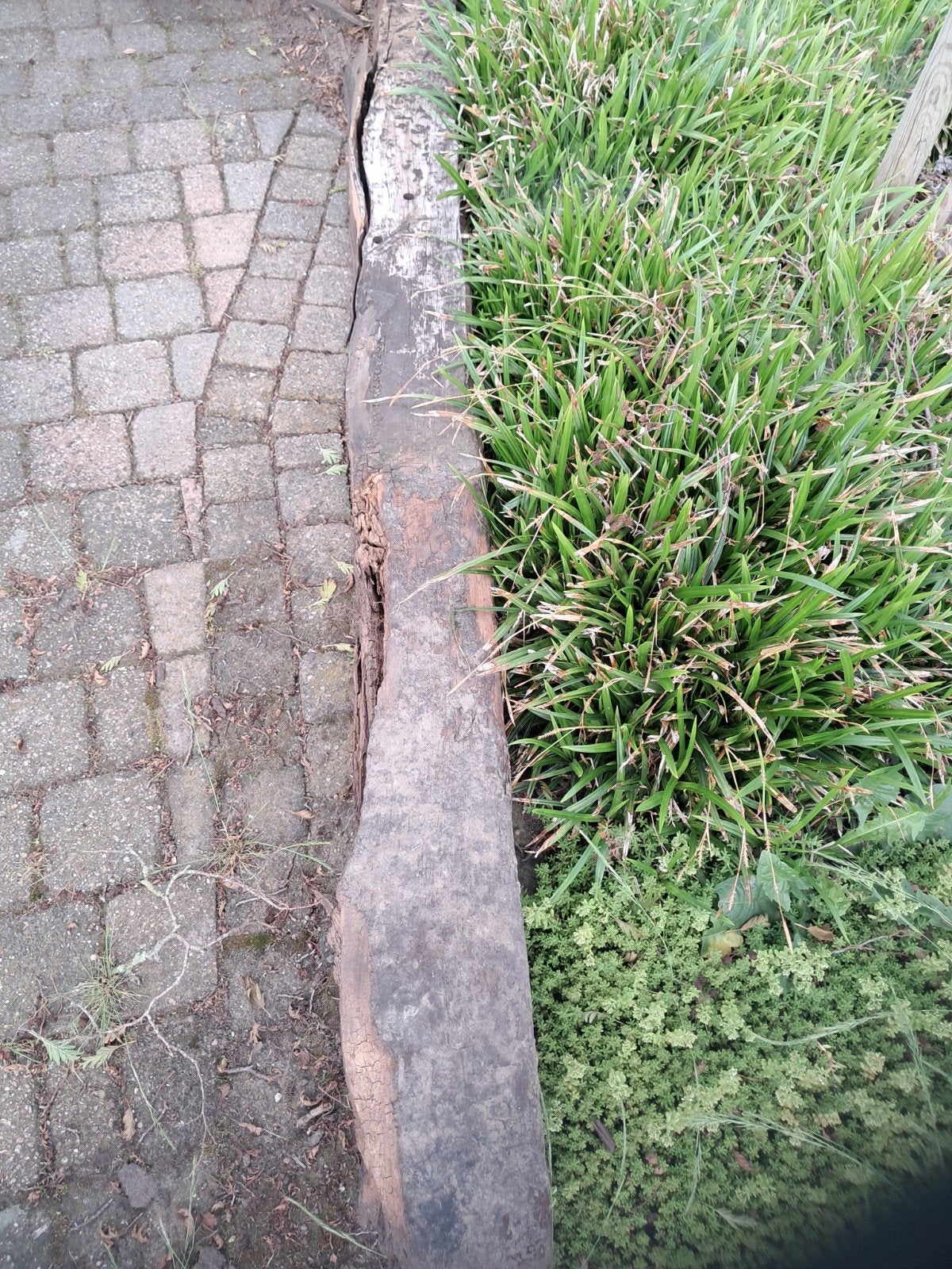 Gratis Oude bielzen voor tuin of decoratie, Ophalen, Gebruikt, Overige typen