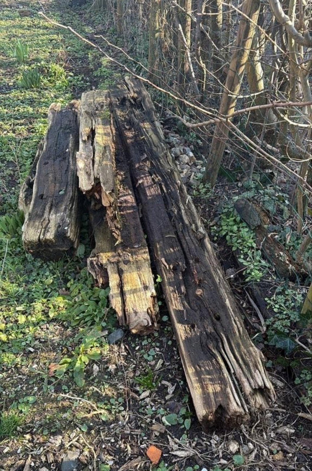 Gratis ophalen Bielzen, Ophalen, Gebruikt, Minder dan 30 cm, Rechthoekig