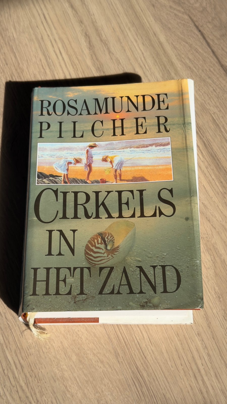Cirkels in het zand - Rosamunde Pilcher, Boeken, Ophalen of Verzenden, Zo goed als nieuw, Amerika