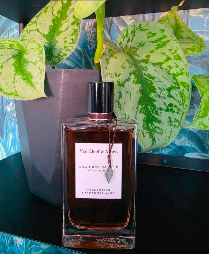 Van cleef &arpels orchidee vanille decants, Ophalen of Verzenden, Nieuw