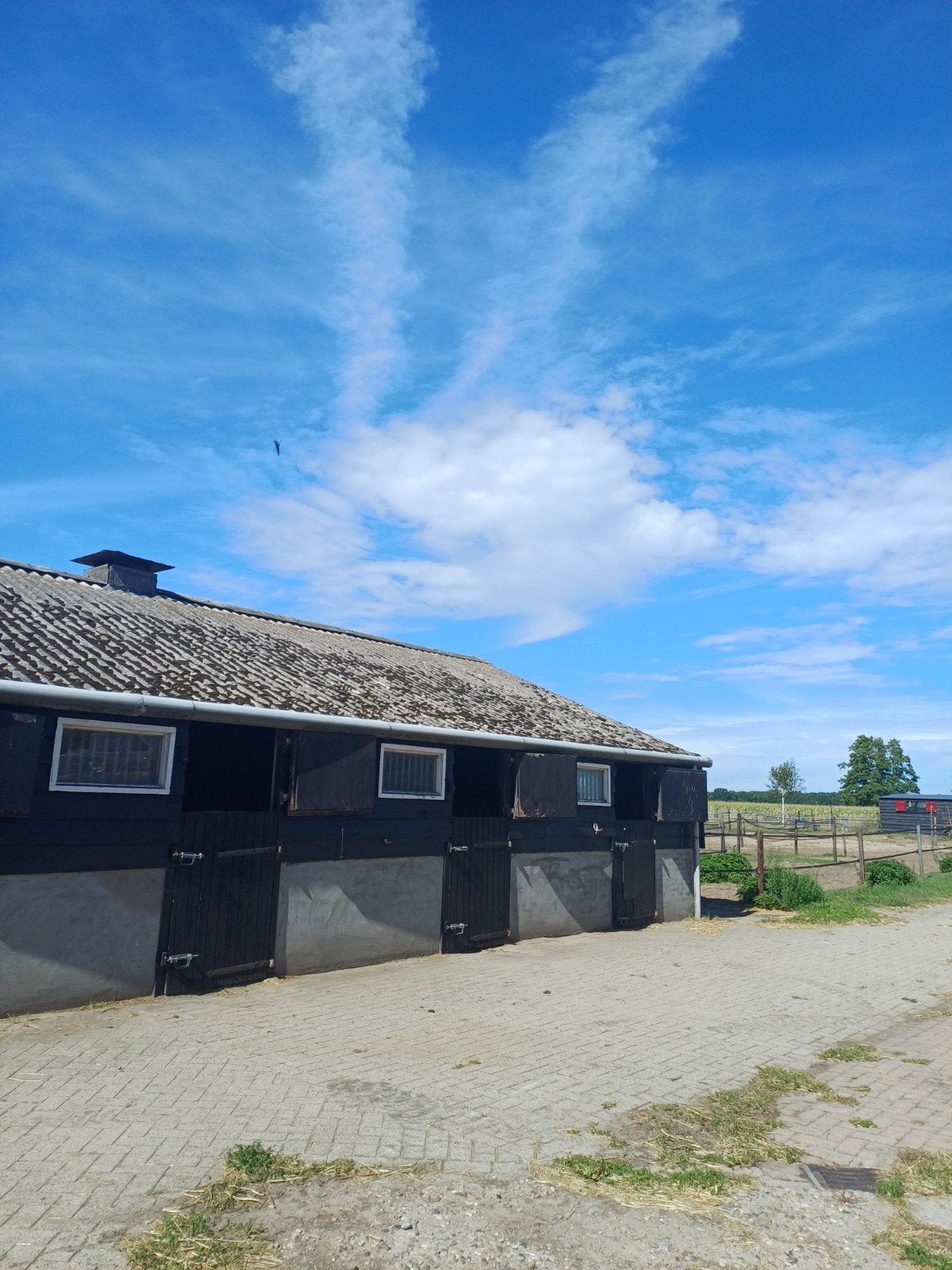 Te huur: Paardenbox op  doe-het-zelf, Dieren en Toebehoren