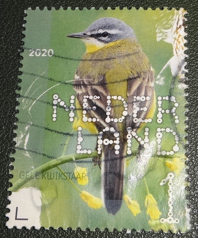 Beleef de Natuur - 3824 - 2020 - Gele Kwikstaart - PNe01-07, Verzenden, Na 1940, Gestempeld