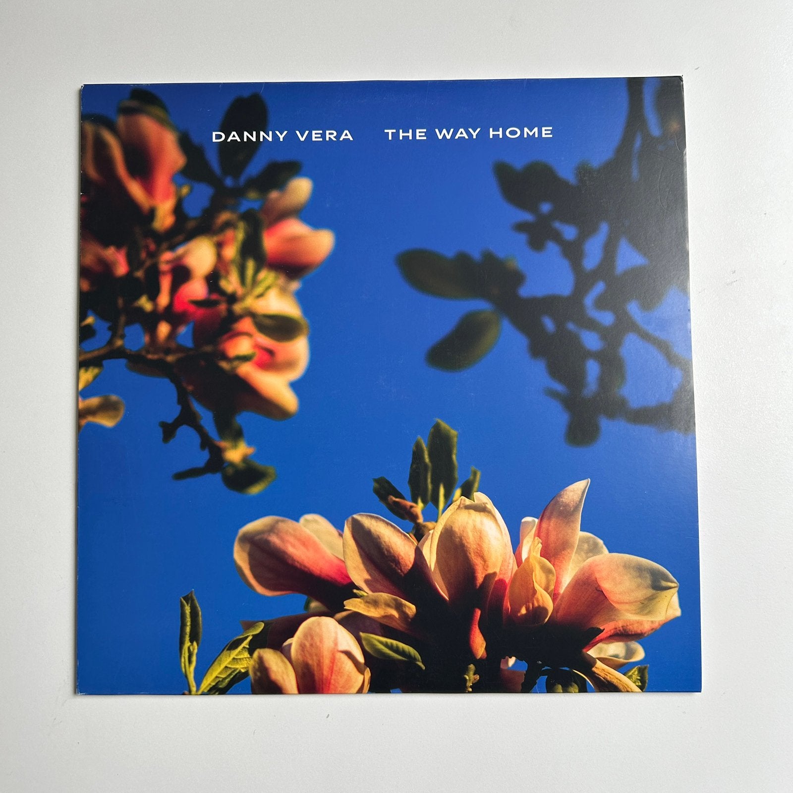 LP Danny Vera - The Way Home (blauw vinyl), Ophalen of Verzenden, Gebruikt, 12 inch