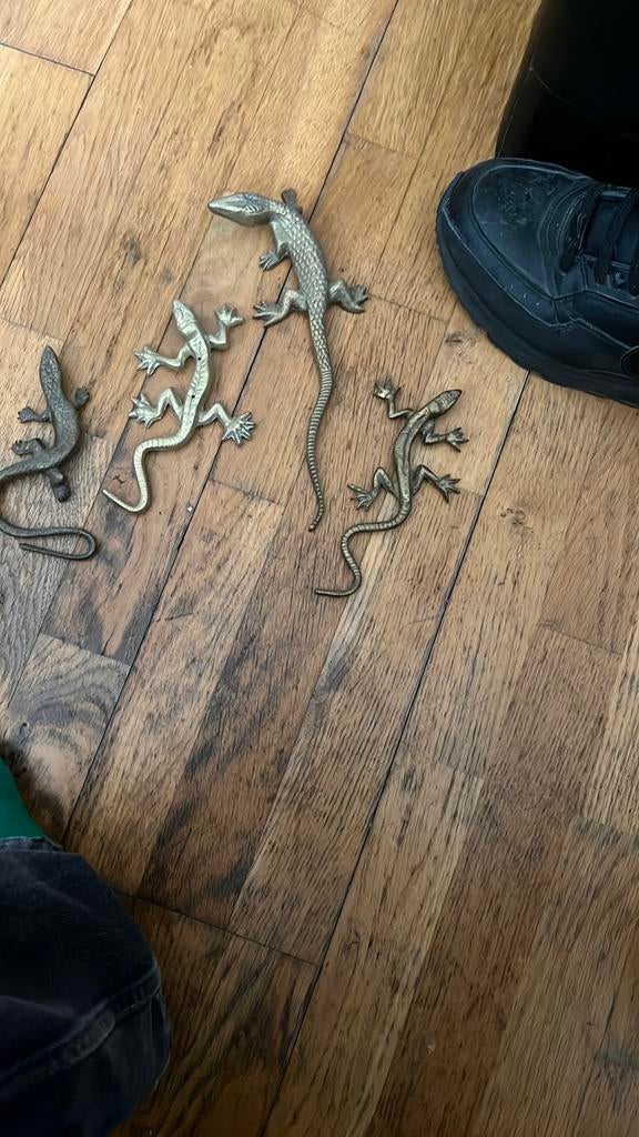 4 salamanders koperkleurig, Ophalen of Verzenden, Zo goed als nieuw, Dier