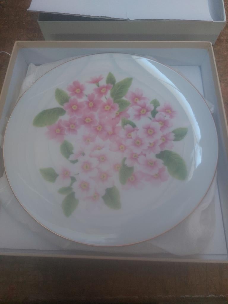 Noritake Japans bord Primula Julian Hybrida Cheerleader Mixe, Ophalen