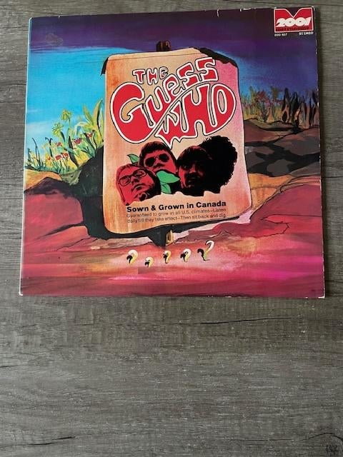 LP The Guess Who - Born In Canada - 1973, Cd's en Dvd's, Vinyl | Rock, Ophalen of Verzenden, Gebruikt, 12 inch, Poprock
