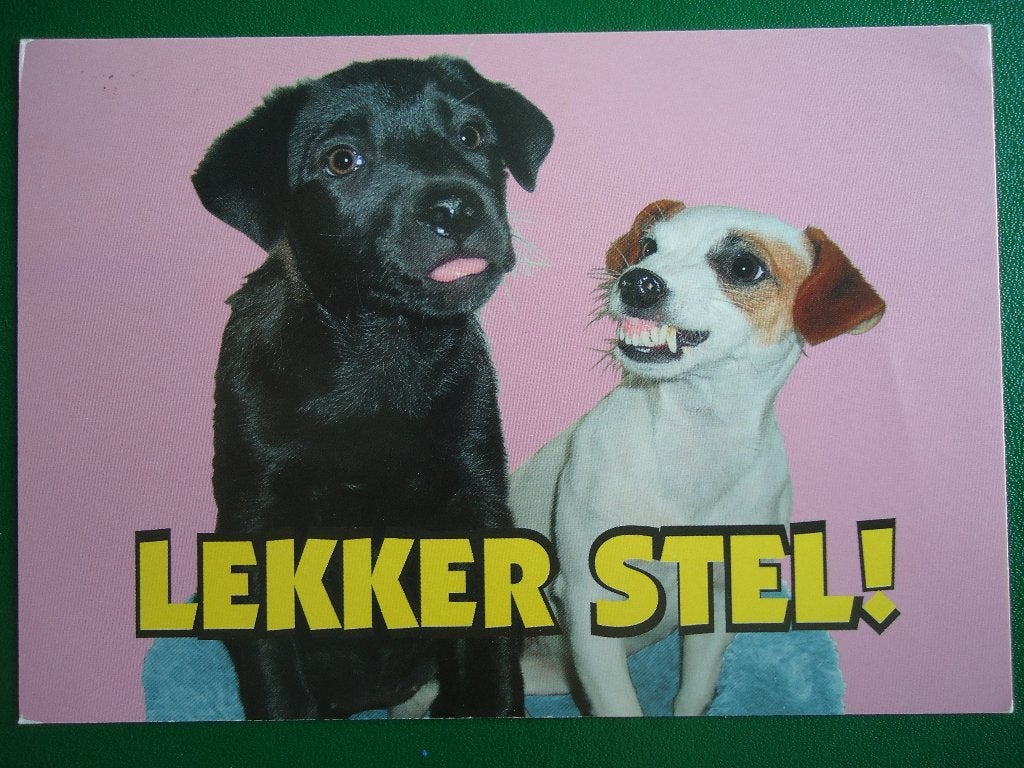 (613) Dierenkaart: HONDEN, Verzamelen, Verzenden, 1980 tot heden, Gelopen, Hond of Kat