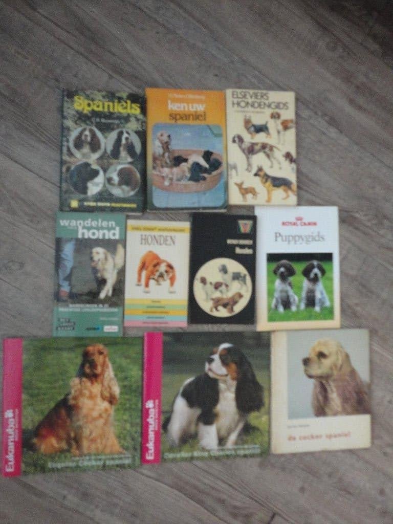 VEEL LEUKE BOEKEN OVER HONDEN/HONDENBOEKEN//SPANIELS/1.-/7,, Ophalen of Verzenden, Zo goed als nieuw, Honden