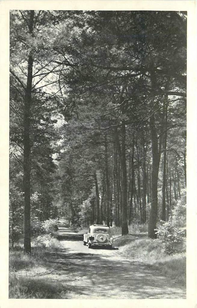 381-495-005 Mooi Appelscha Vakantiecentrum, Verzenden, Voor 1920, Friesland