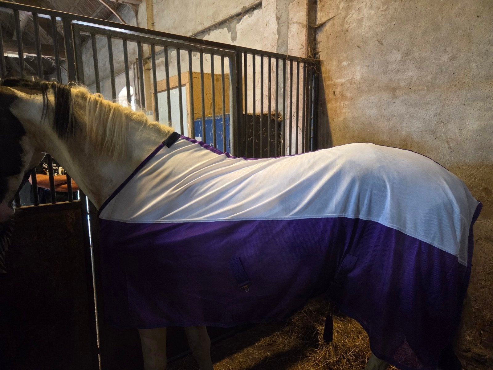 Vliegendeken harry's horse 145/195, Dieren en Toebehoren, Paarden en Pony's | Dekens en Dekjes, Ophalen of Verzenden, Nieuw