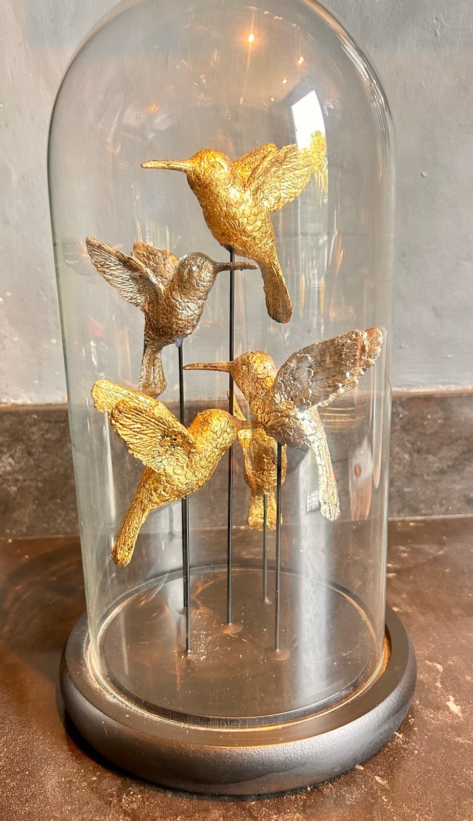 Mooie stolp met gouden en zilveren vogels, Glas, Ophalen of Verzenden, Zo goed als nieuw, Inclusief decoratie