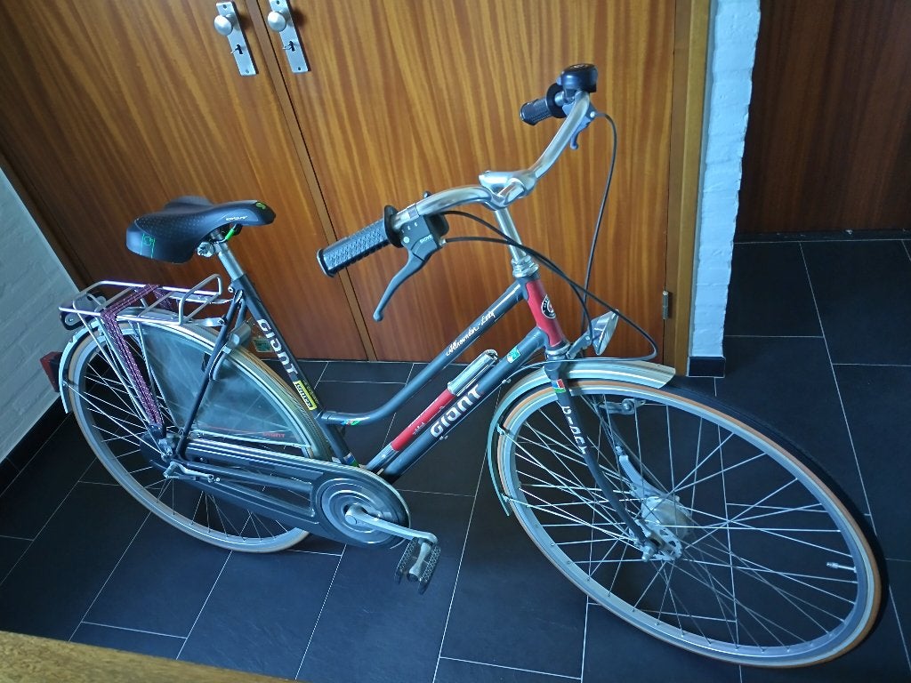 Giant damesfiets model Allrounder - Lady (Zo goed als nieuw), Ophalen, 53 tot 56 cm, Versnellingen, Giant