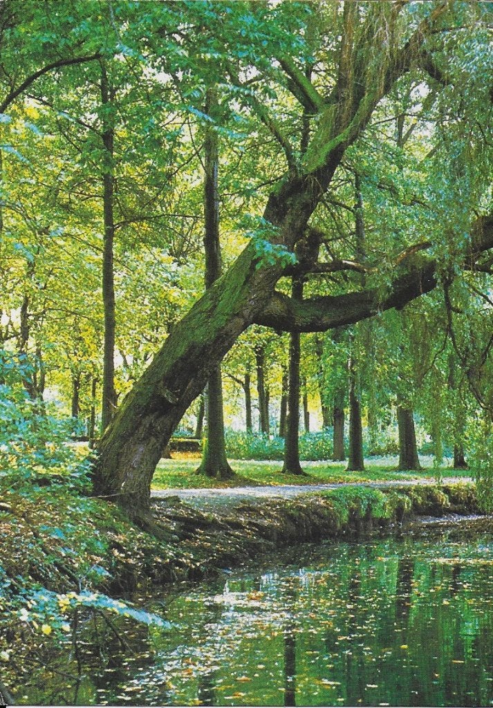 Nederland mooie natuur Gelopen Ansichtkaart ( 416 ), Ophalen of Verzenden, 1980 tot heden, Gelopen, Gelderland
