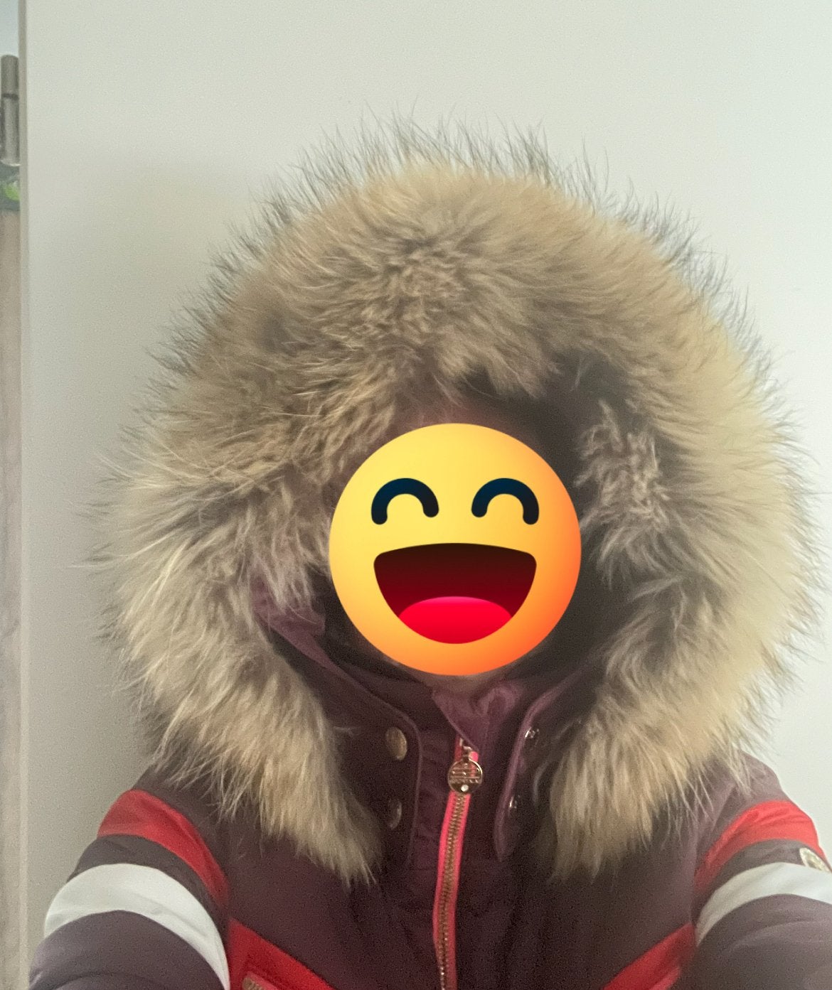 Skijas, Kleding | Dames, Jassen | Winter, Ophalen of Verzenden, Zo goed als nieuw