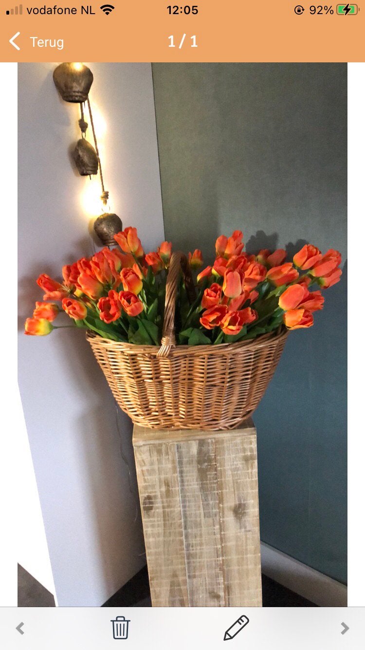 Tulpen, Ophalen of Verzenden, Zo goed als nieuw