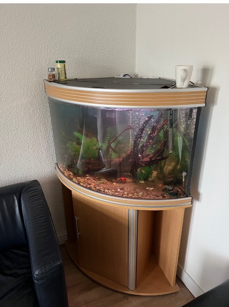 Complete 200L aquarium, Ophalen