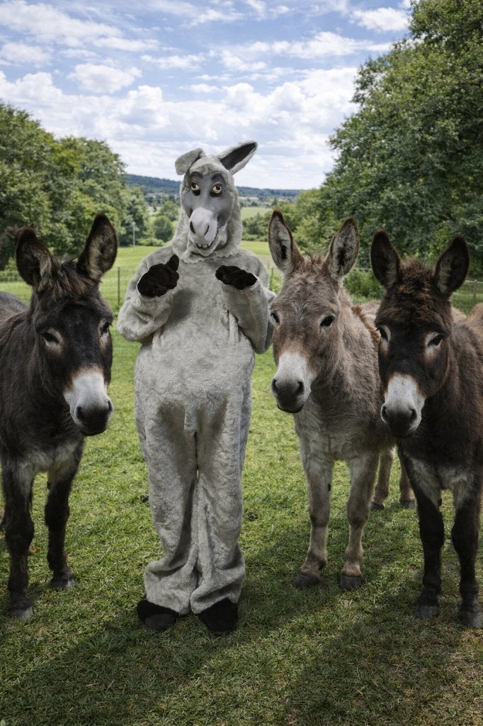 Mascotte Donkey de ezel, Ophalen of Verzenden, Zo goed als nieuw, Verjaardag